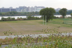 河川敷にて