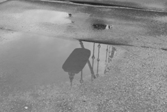 雨上がりの公園