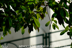 MINOLTA MC ROKKOR-PF 1:1.4 / 58mm