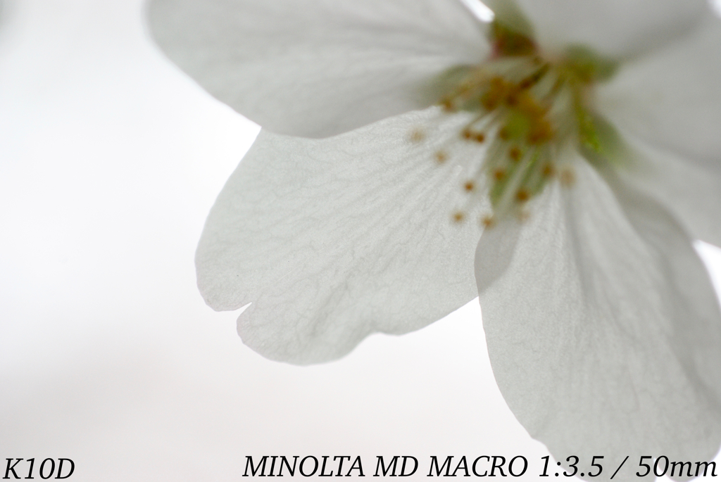 53BE86BA-D768-4596-8967-64E9F997ACA2