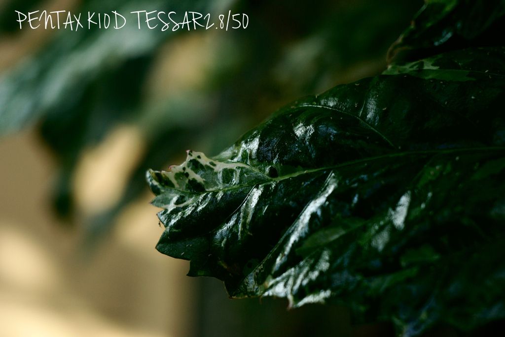 TESSAR2.8/50