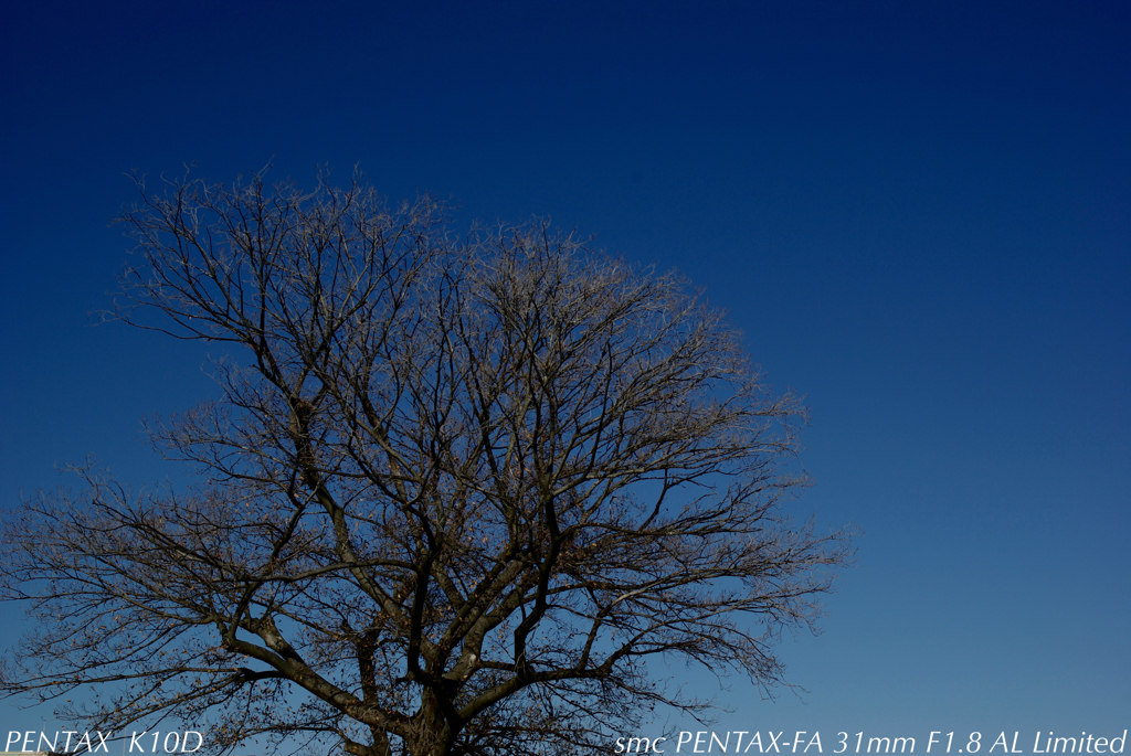 青空