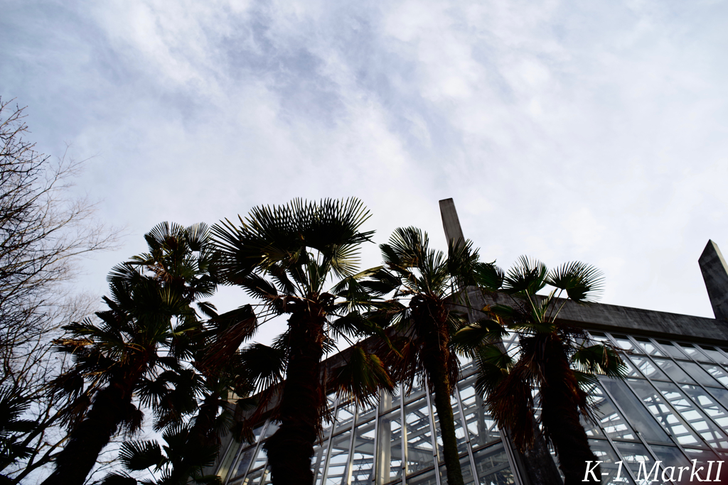 SMC PENTAX 1:2.8 / 24mm