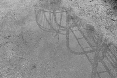 雨上がりの公園