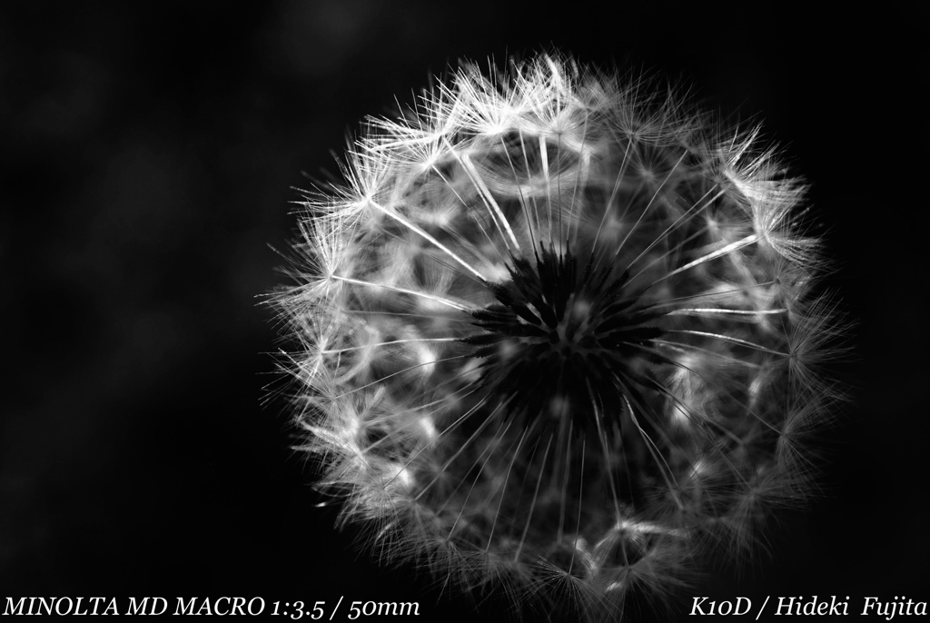 D2214E62-CCB3-4E5B-869F-AA874E577AE0