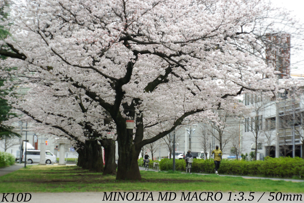 A3D1B6C7-7A2D-4D0B-A96F-3A8DFD9D172E