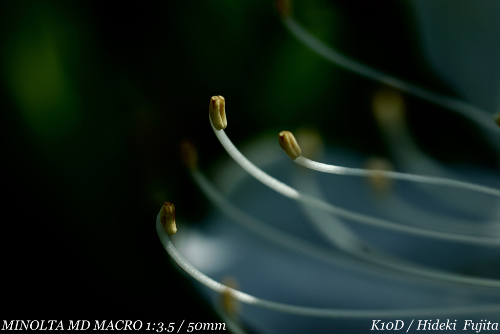 DC4D9CEF-088C-4A9C-92B2-271F73D6145E