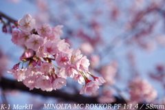 MINOLTA MC ROKKOR-PF 1:1.4 / 58mm