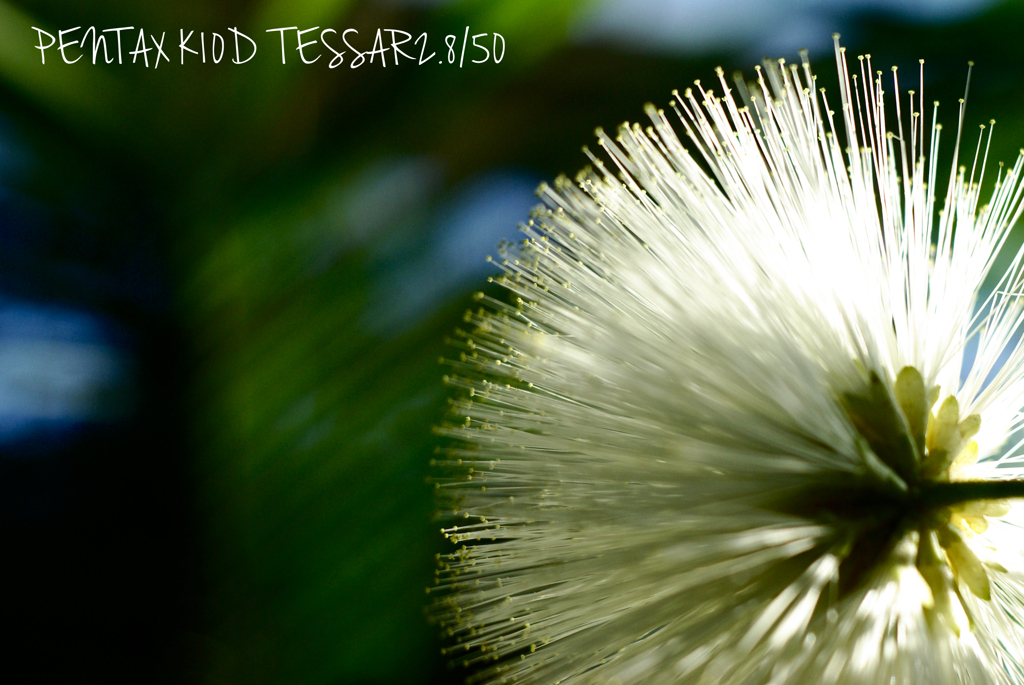 TESSAR2.8/50