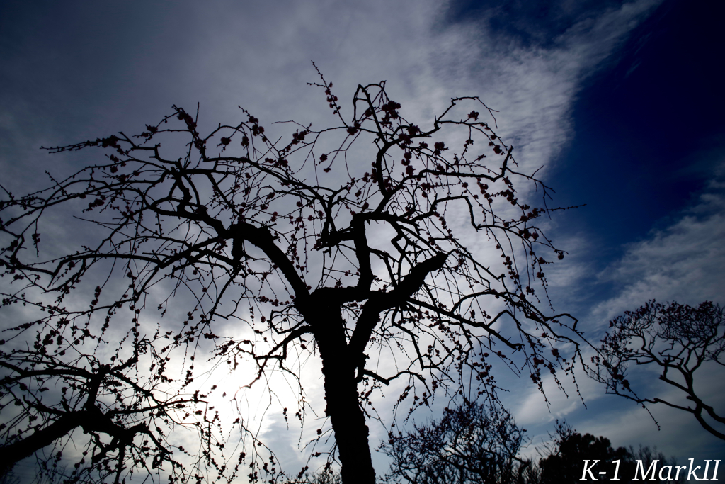 SMC PENTAX 1:2.8 / 24mm