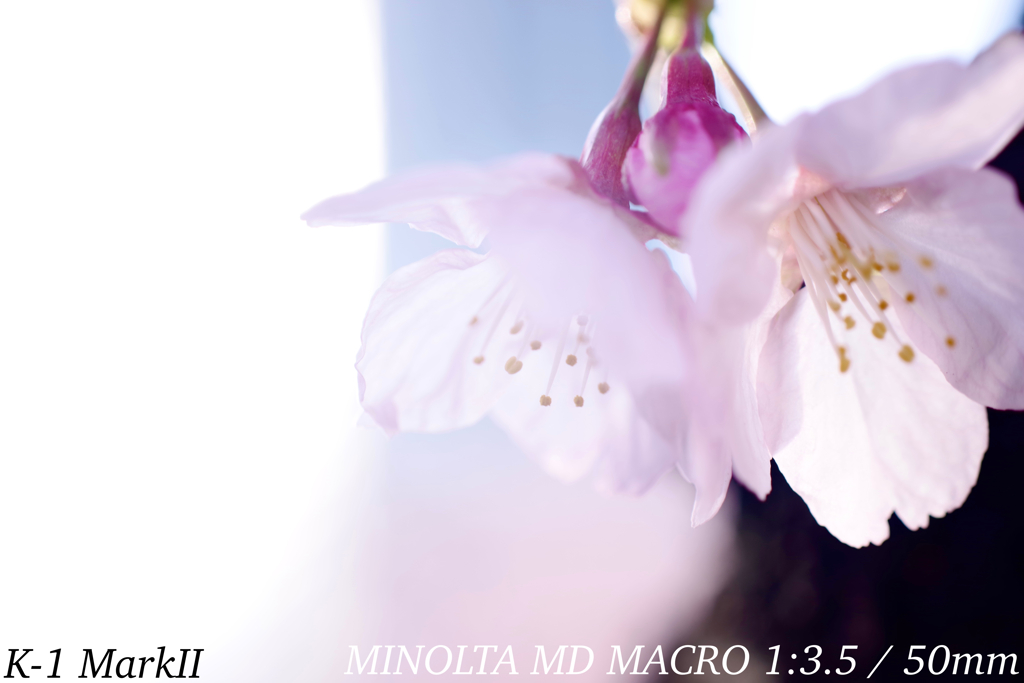 D3B72C19-85FA-4C6A-82C1-749513946BA4