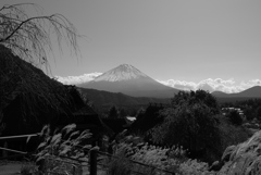 西湖いやしの里根場