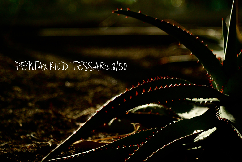 TESSAR2.8/50