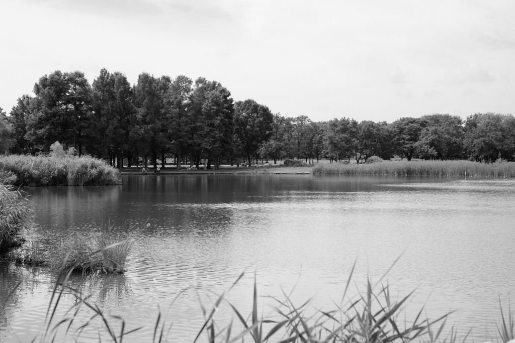 舎人公園
