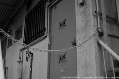 廃墟