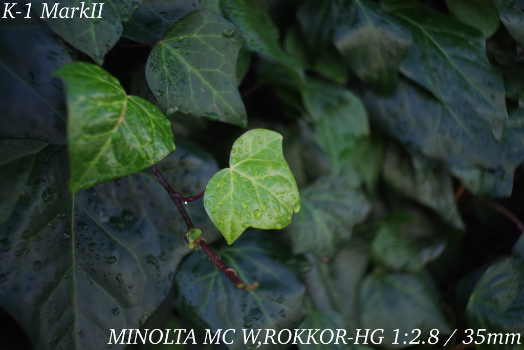 MINOLTA MC W,ROKKOR-HG 1:2.8 / 35mm