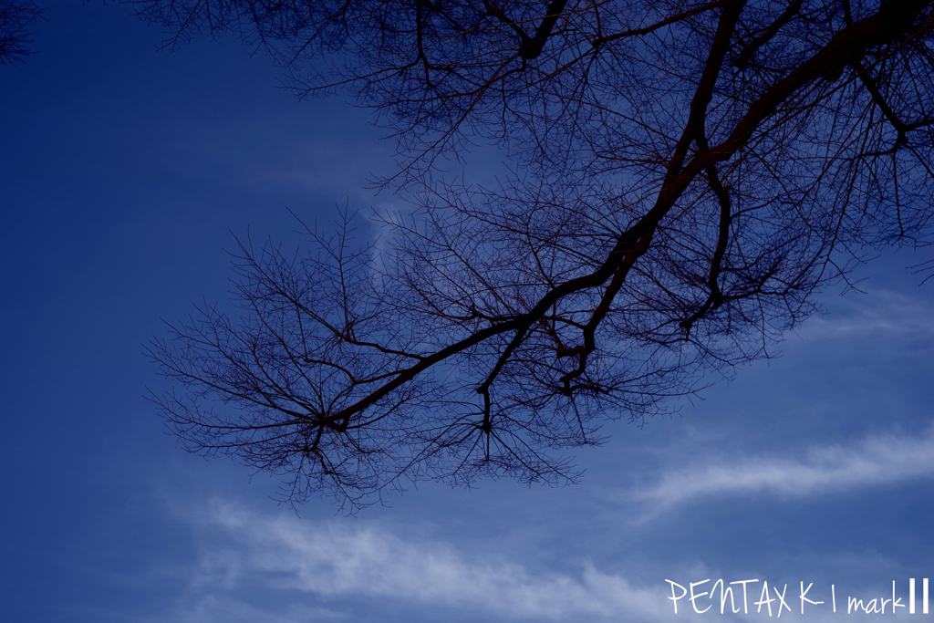 Carl Zeiss Jena TESSAR 1:2.8 / 50mm