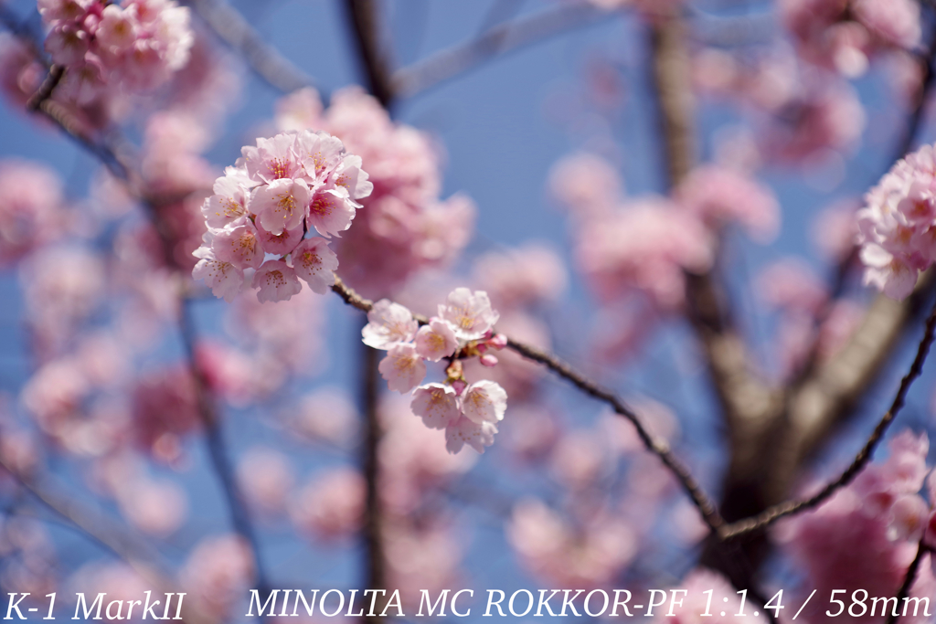 MINOLTA MC ROKKOR-PF 1:1.4 / 58mm