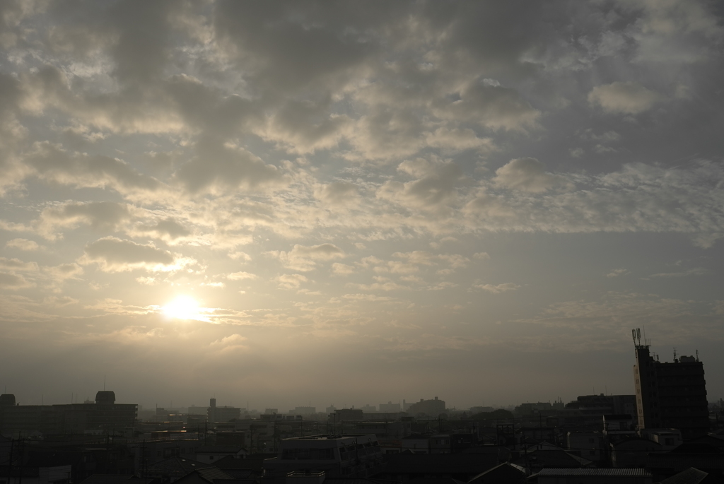 朝陽
