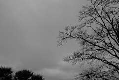 雨上がりの公園