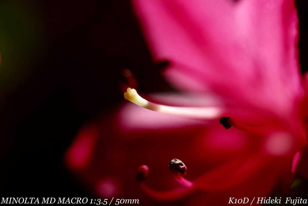 EB415211-8836-43FD-8E4D-03738C6BCC65