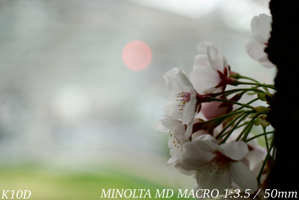 5920F1AB-8CF4-43A9-8F7B-4B73DBF1E6AD