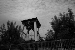 秋空
