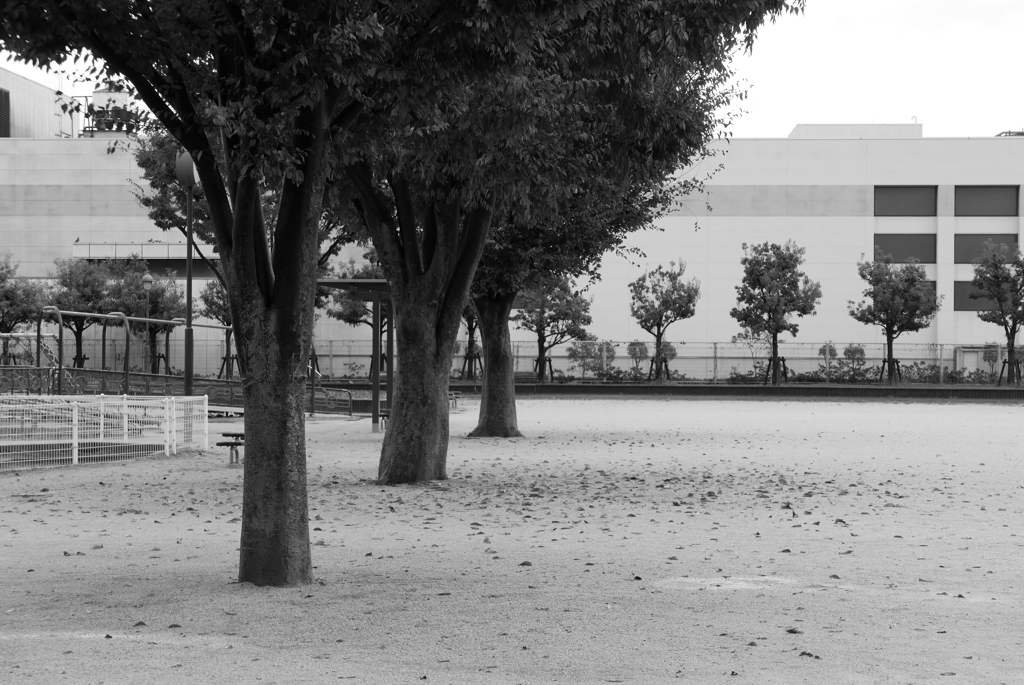 雨上がりの公園