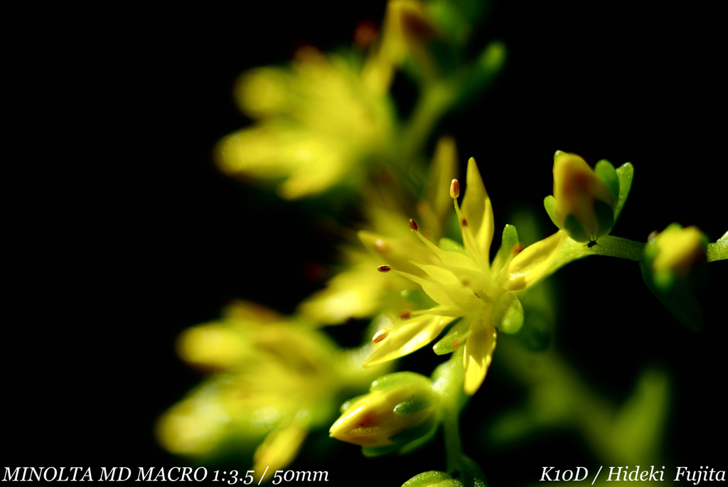 A36E84D7-BCA6-46E0-8F95-F7244558A667