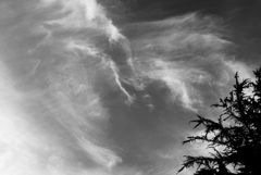 キャンバスに…