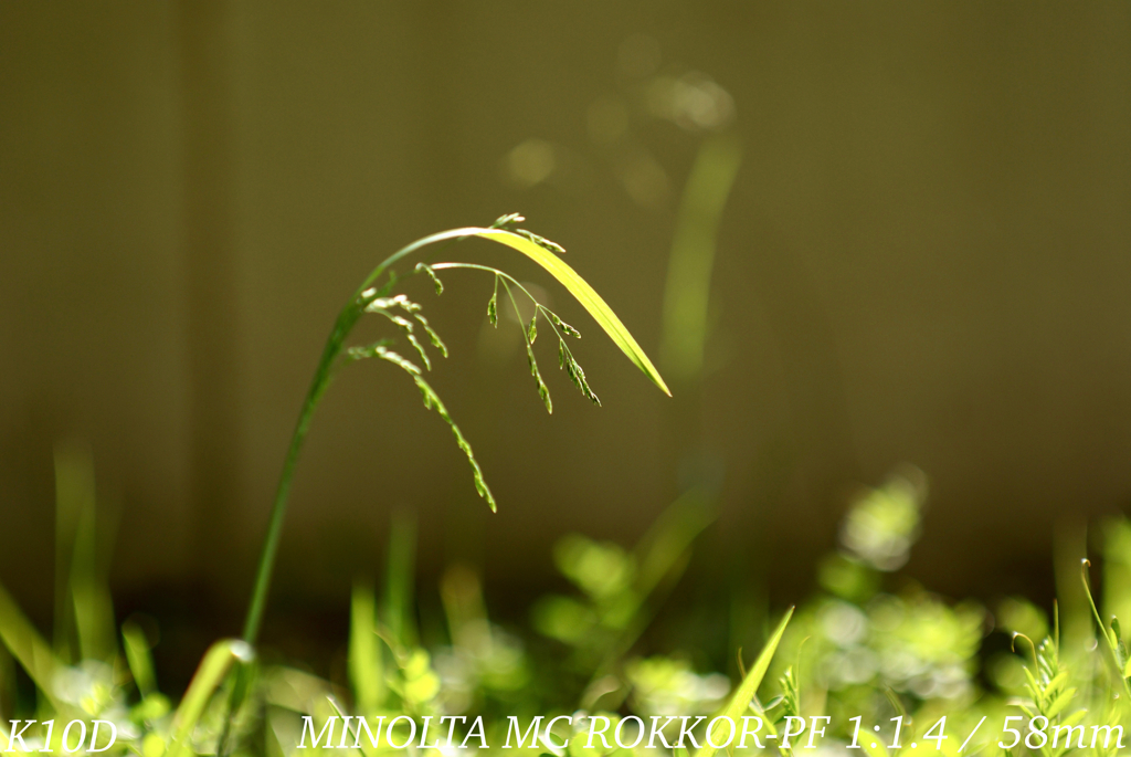 MINOLTA MC ROKKOR-PF 1:1.4 / 58mm