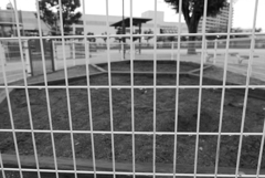 雨上がりの公園