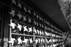 西湖いやしの里根場