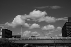 雲