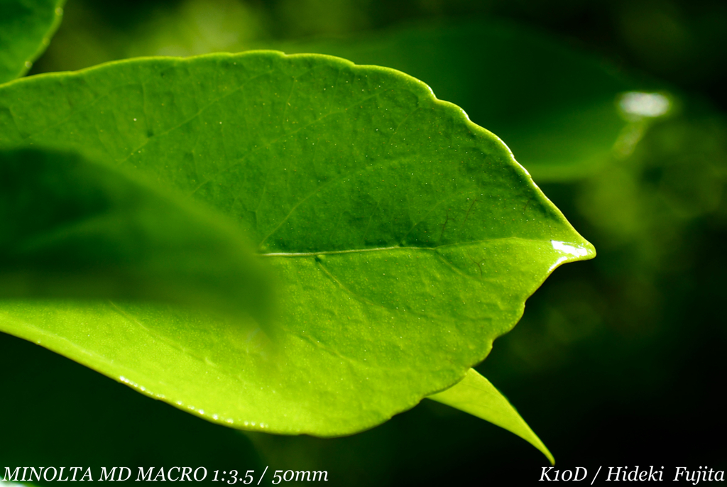 B7E7946B-EA6B-4C9D-A777-7BABE7B3D981