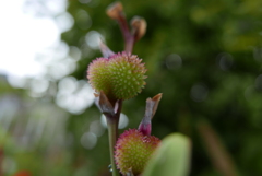 雨上がりの公園
