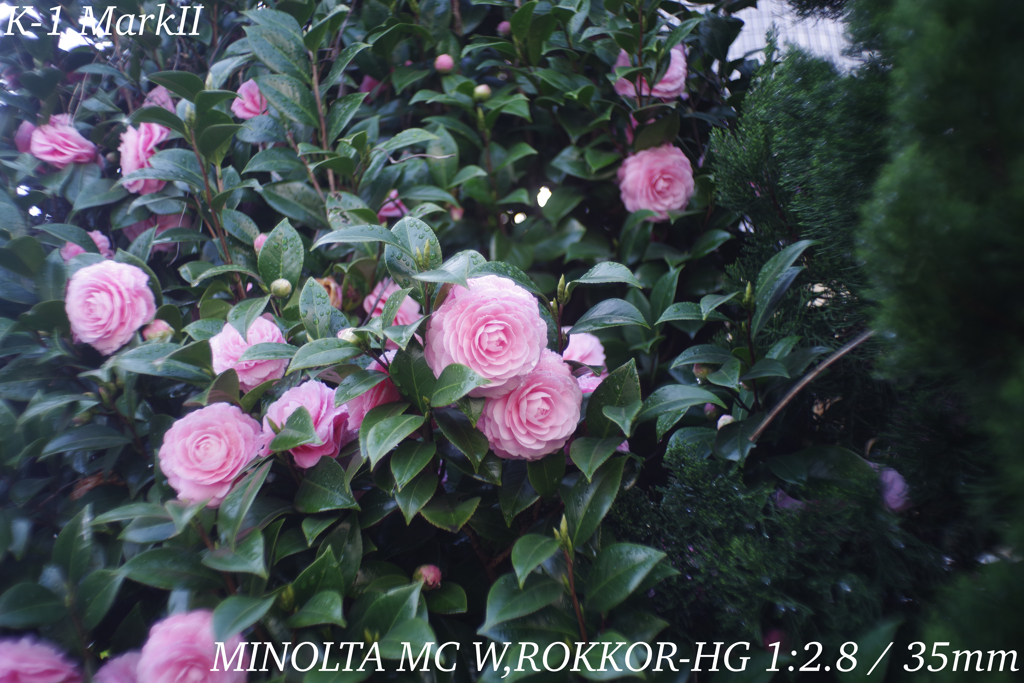 MINOLTA MC W,ROKKOR-HG 1:2.8 / 35mm