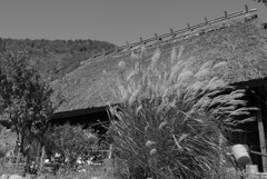 西湖いやしの里根場