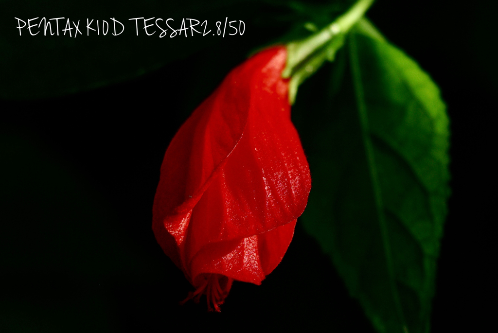 TESSAR2.8/50