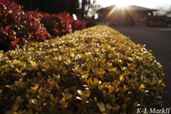 SMC PENTAX 1:2.8 / 24mm