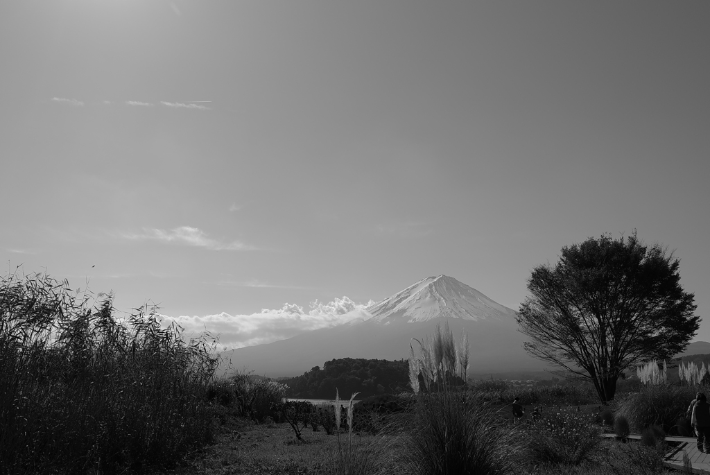 大石公園