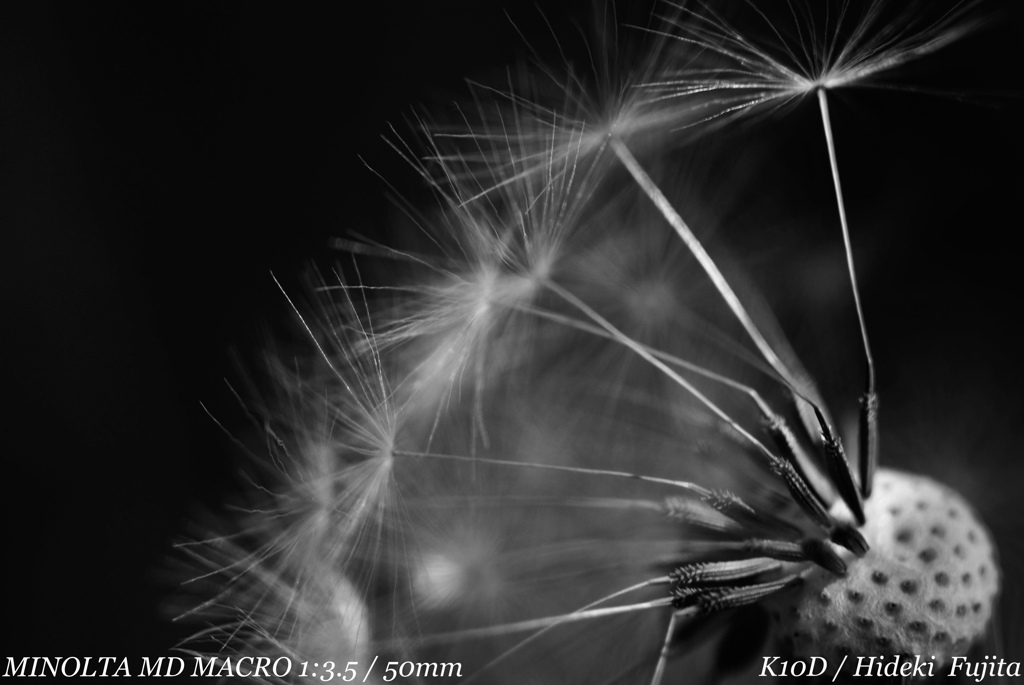 FBE44818-AA53-48A8-B29F-6BFFF190B27A