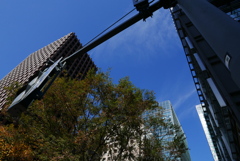 TOKYO　信号待ち