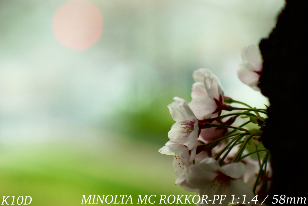 BCF5FC98-57D0-4B99-B87B-C3CF82A2D8AE