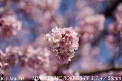 MINOLTA MC ROKKOR-PF 1:1.4 / 58mm