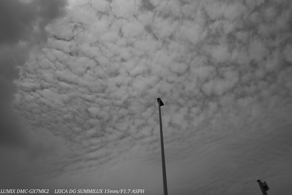 もう秋空？