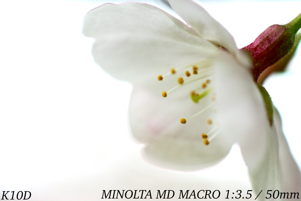 C5215AA3-690F-4AB0-A533-95A690F3847F