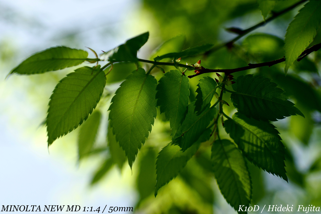 A0A2C2A1-4705-48E1-8DD4-98767DBBFB84