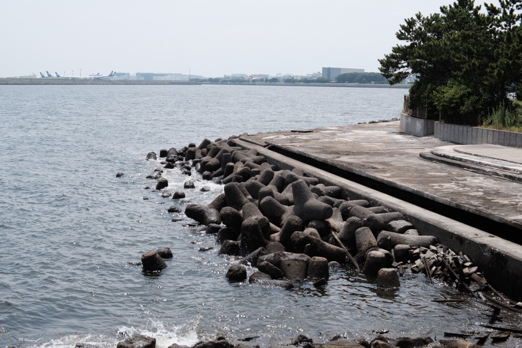 城南島にて