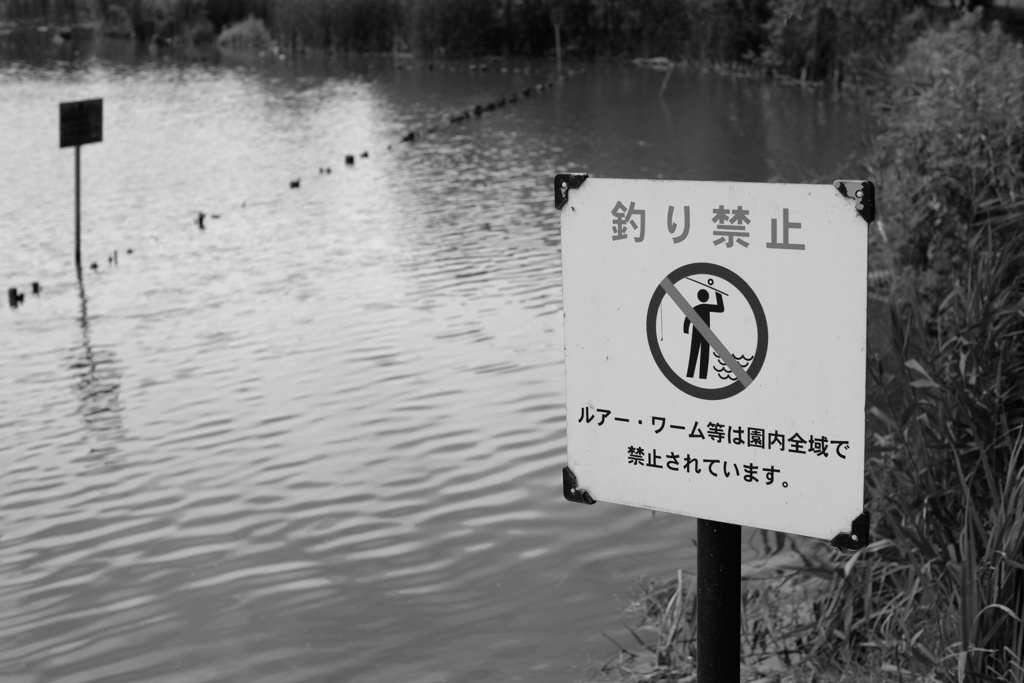 舎人公園